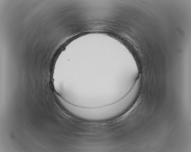 X0000111951449200909071310