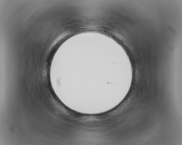 X0000111951450200909071310