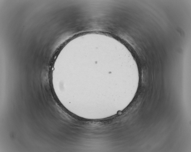 X0000111951452200909071310
