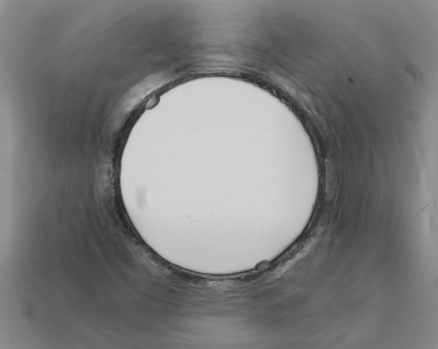 X0000111951453200909071310
