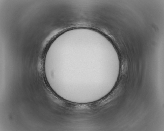 X0000111951454200909071310