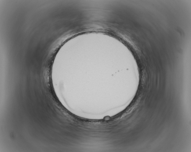X0000111951455200909071310
