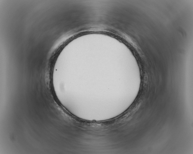 X0000111951456200909071310