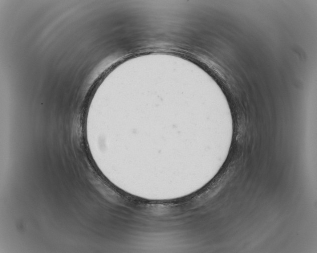 X0000111951458200909071310