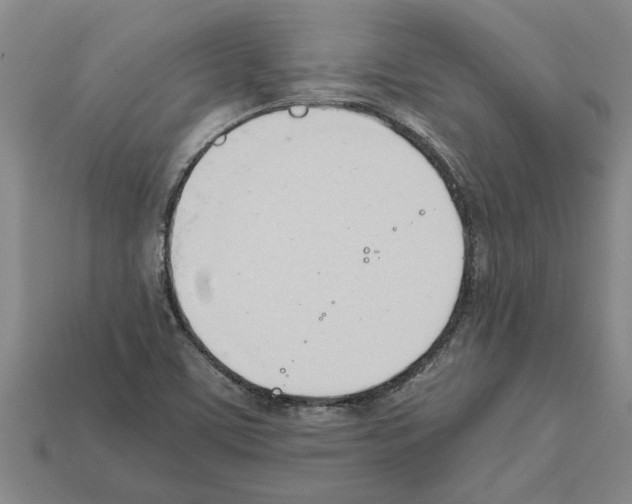 X0000111951459200909071310