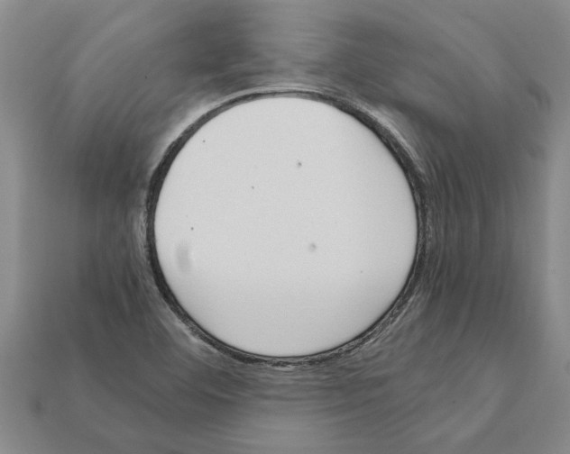 X0000111951460200909071310