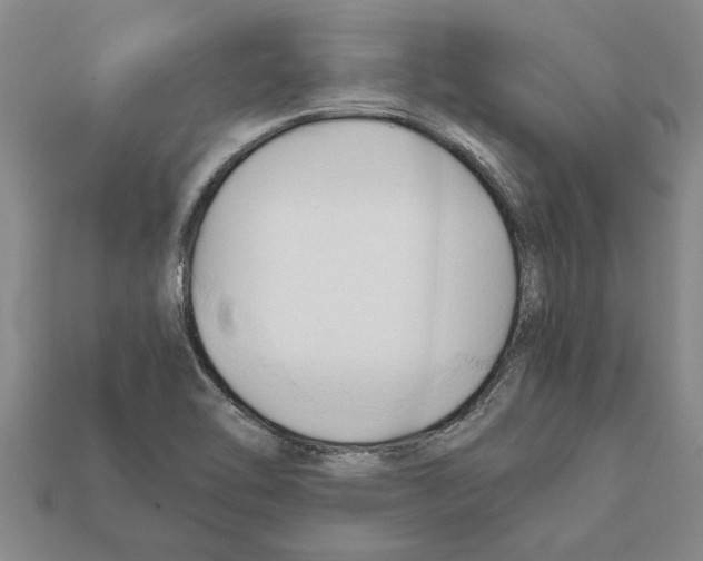 X0000111951462200909071310