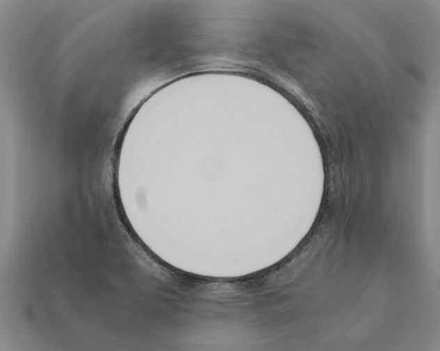 X0000111951463200909071310