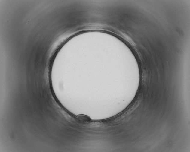 X0000111951464200909071310