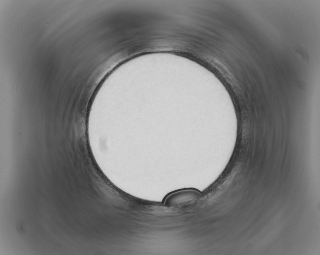 X0000111951465200909071310