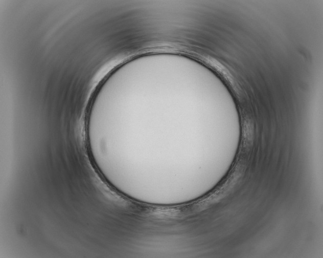 X0000111951466200909071310