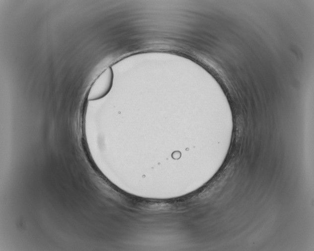 X0000111951467200909071310