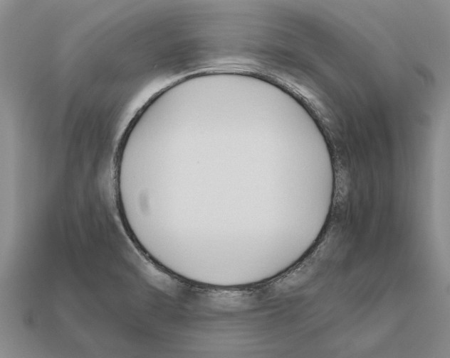 X0000111951470200909071310
