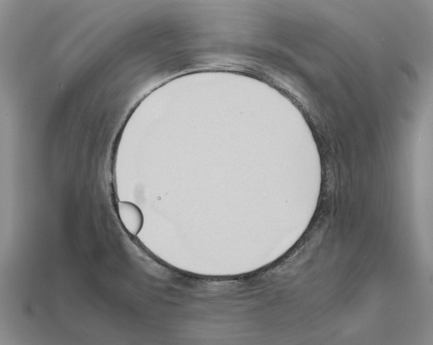 X0000111951471200909071310