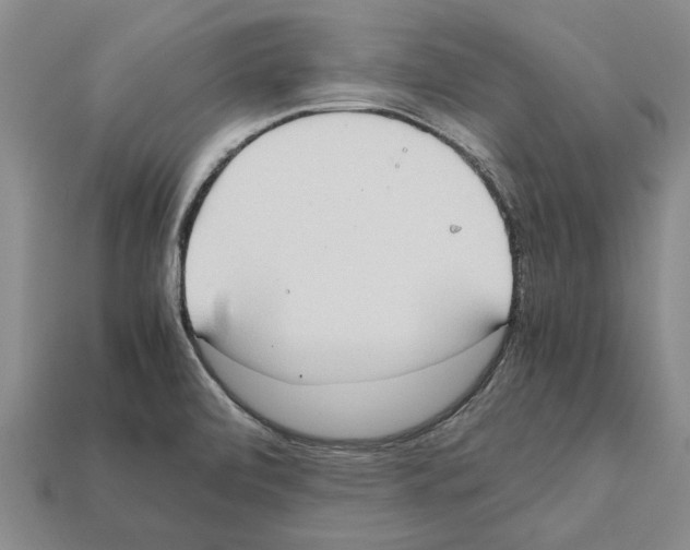 X0000111951472200909071310