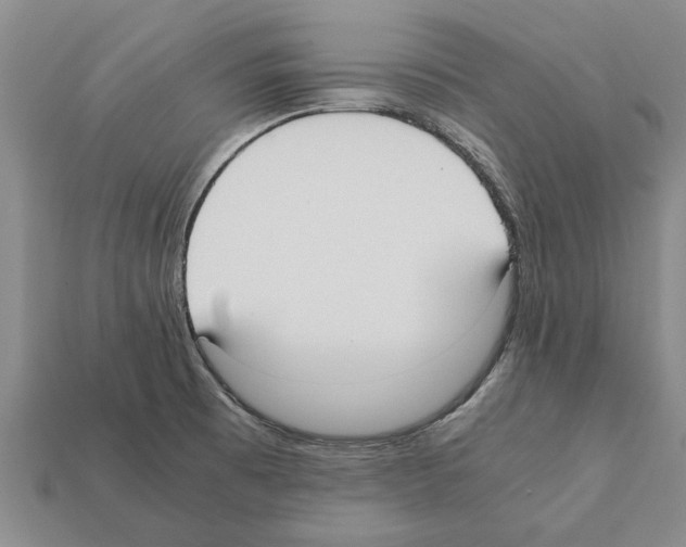 X0000111951473200909071310
