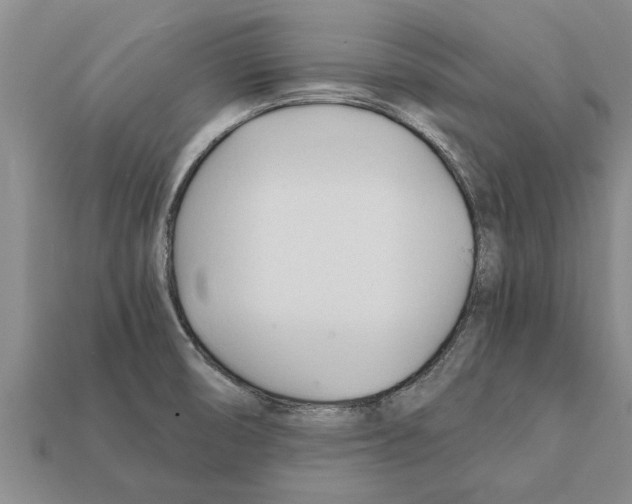 X0000111951474200909071310