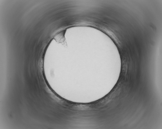 X0000111951476200909071310