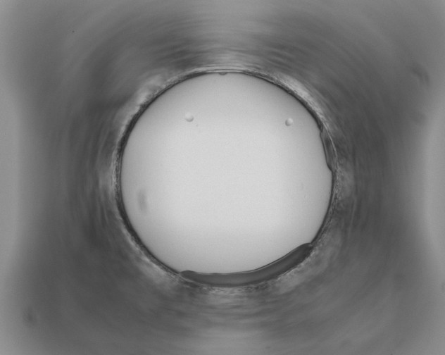 X0000111951477200909071310