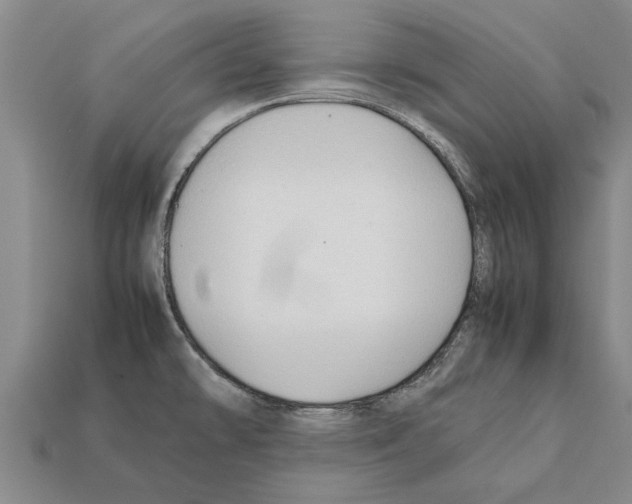 X0000111951478200909071310