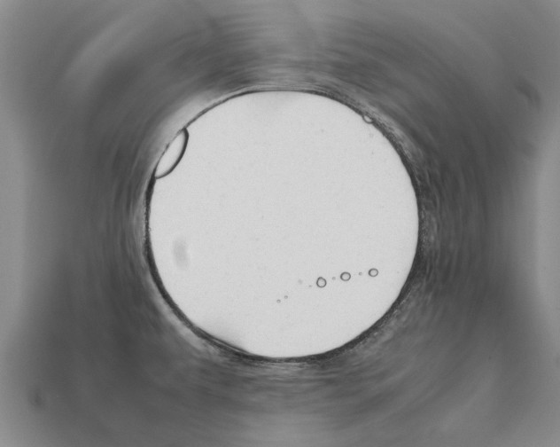 X0000111951479200909071310