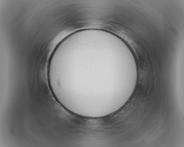 X0000111951480200909071310
