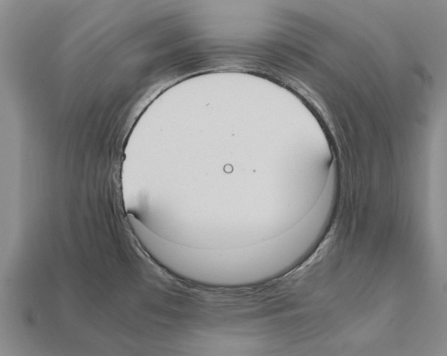 X0000111951481200909071310