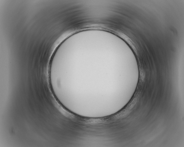 X0000111951482200909071310
