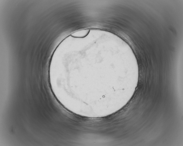 X0000111951483200909071310