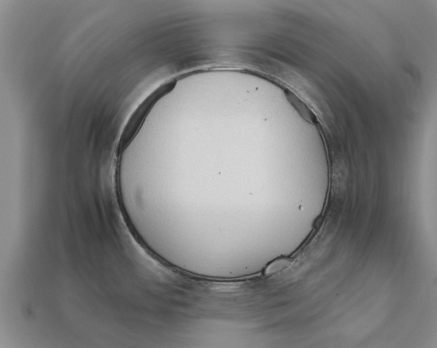 X0000111951484200909071310