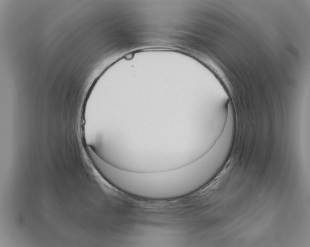 X0000111951485200909071310
