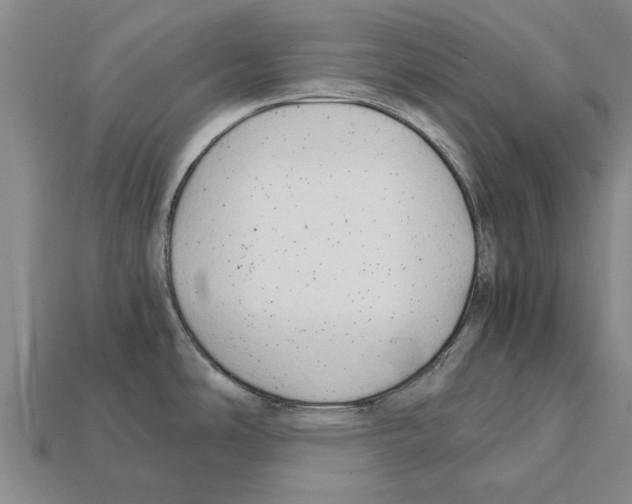 X0000111951486200909071310