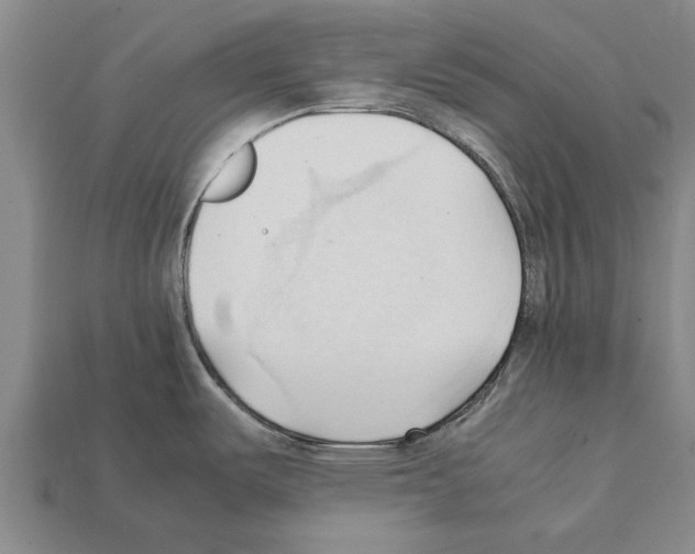 X0000111951487200909071310