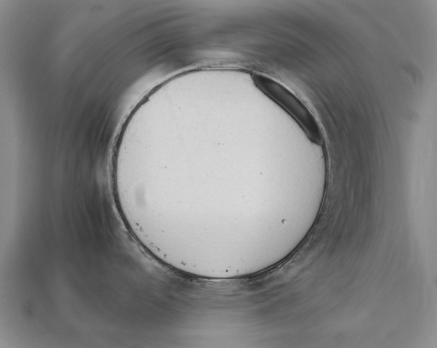 X0000111951488200909071310