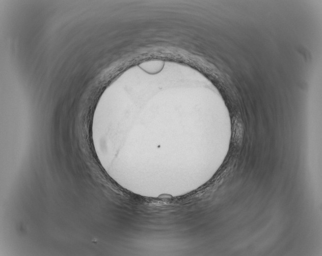 X0000111951489200909071309