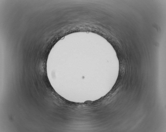 X0000111951490200909071309