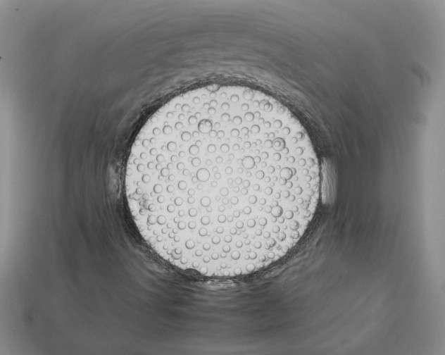 X0000111951491200909071309