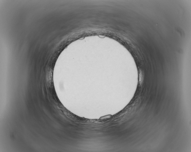 X0000111951492200909071309