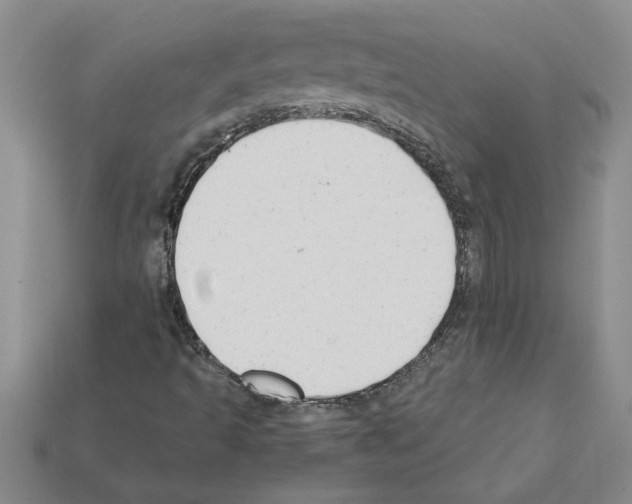 X0000111951493200909071309