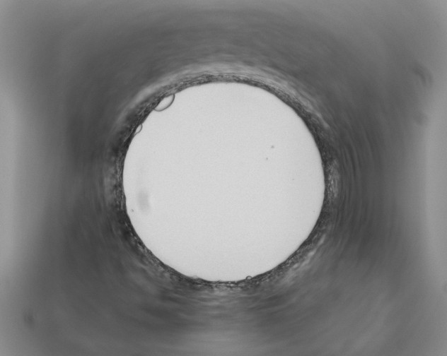 X0000111951494200909071309