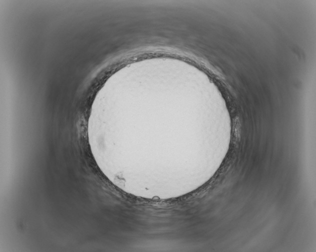 X0000111951495200909071309