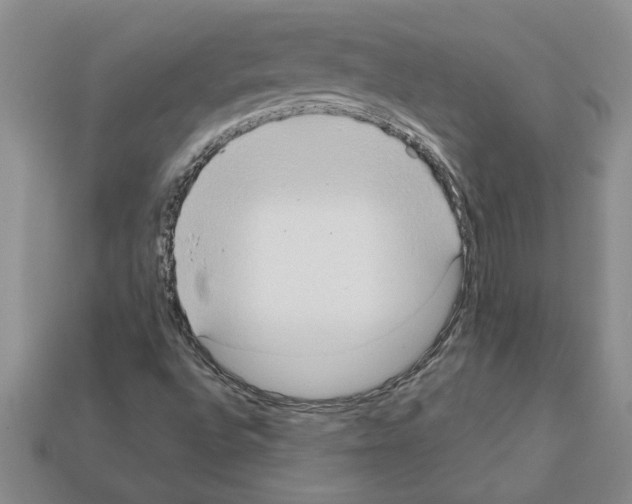 X0000111951496200909071309