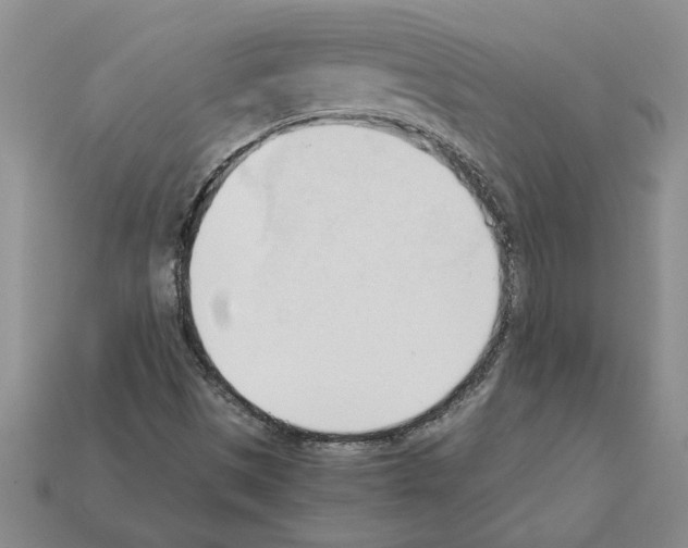 X0000111951497200909071309