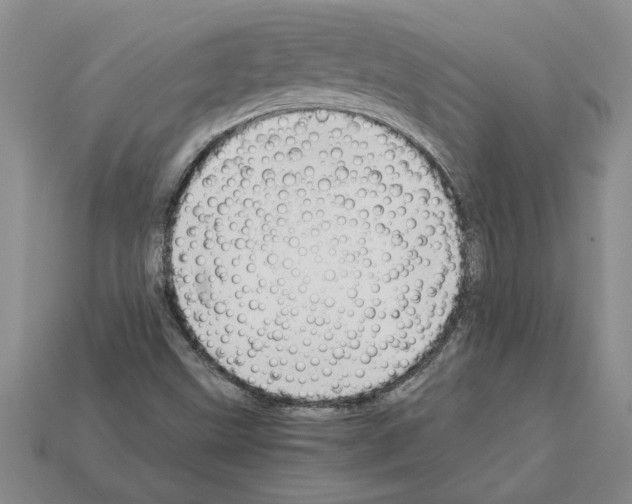X0000111951499200909071309