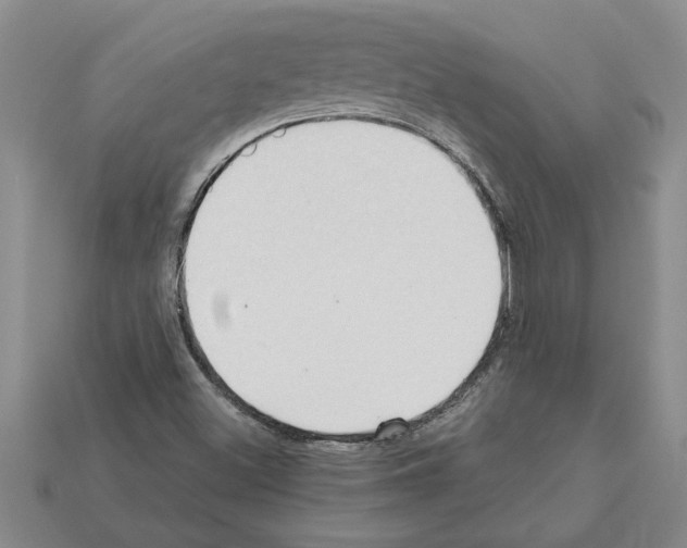 X0000111951500200909071309