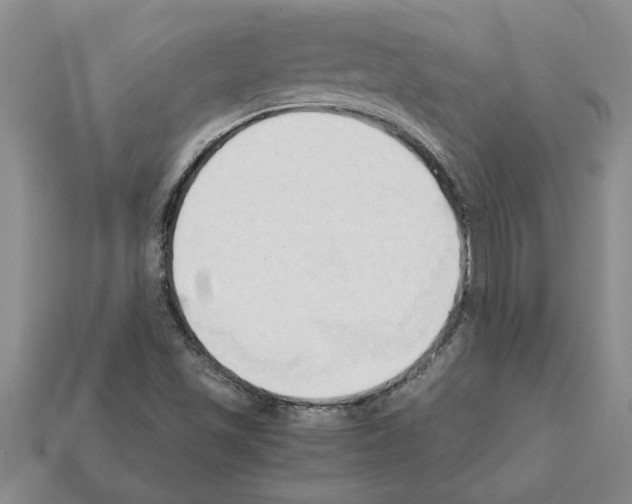 X0000111951501200909071309