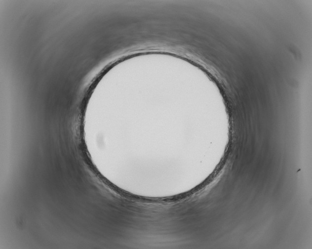 X0000111951502200909071309