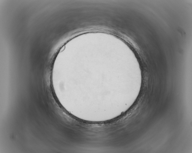 X0000111951504200909071309