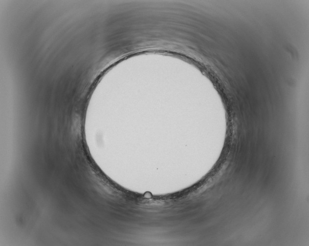 X0000111951505200909071309