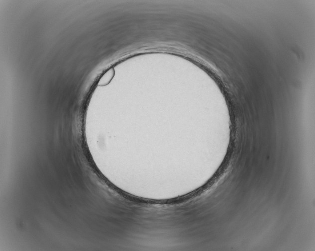 X0000111951506200909071309